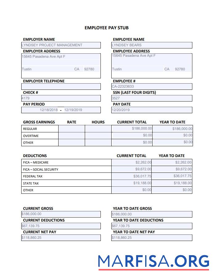 Blank Employee annual pay stub template